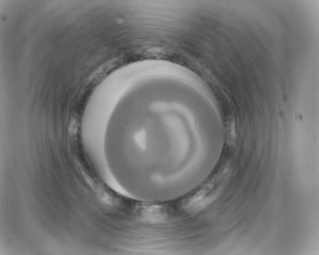 X0000087700472200706011749