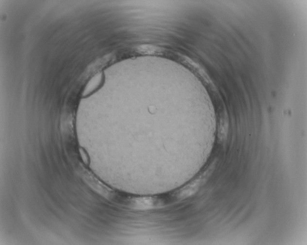 X0000087700473200706011749