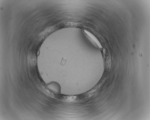 X0000087700474200706011749