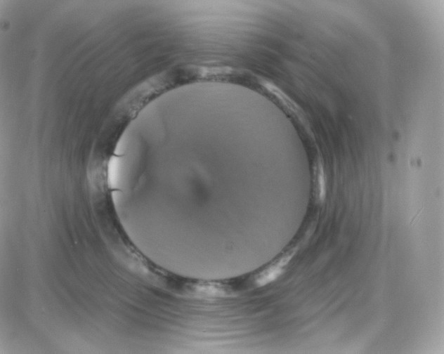 X0000087700475200706011749