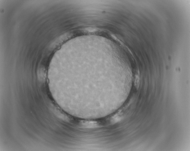 X0000087700476200706011749