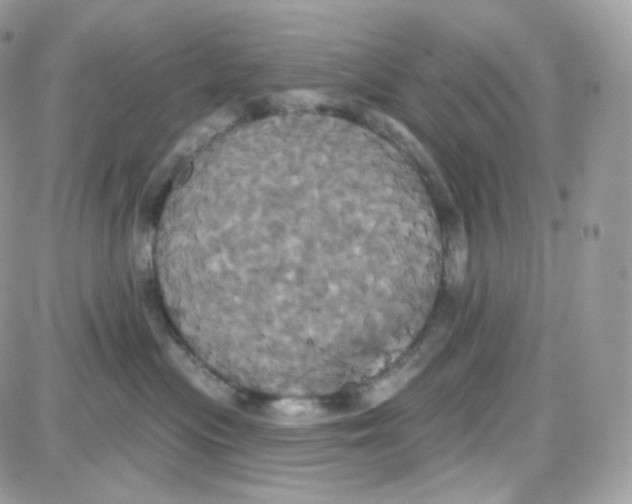 X0000087700477200706011749