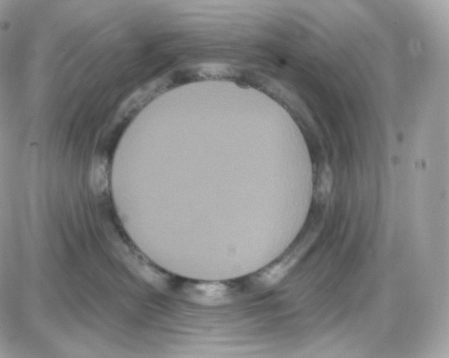 X0000087700478200706011749