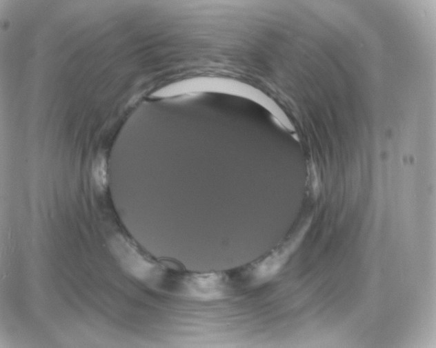 X0000087700479200706011749