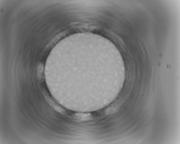 X0000087700480200706011749