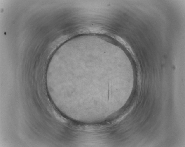 X0000087700481200706011748