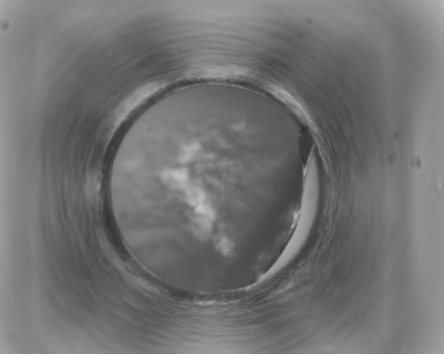 X0000087700483200706011748