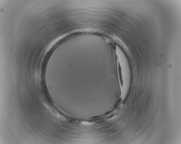 X0000087700484200706011748