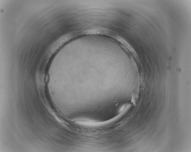 X0000087700485200706011748