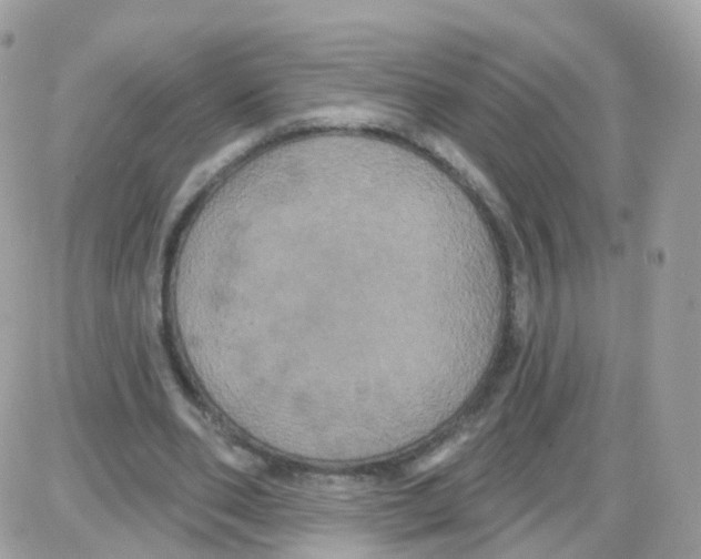 X0000087700486200706011748