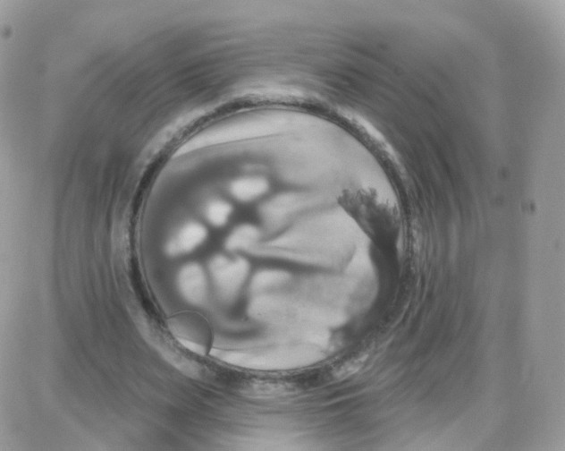 X0000087700487200706011748