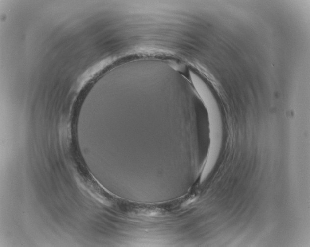 X0000087700488200706011748