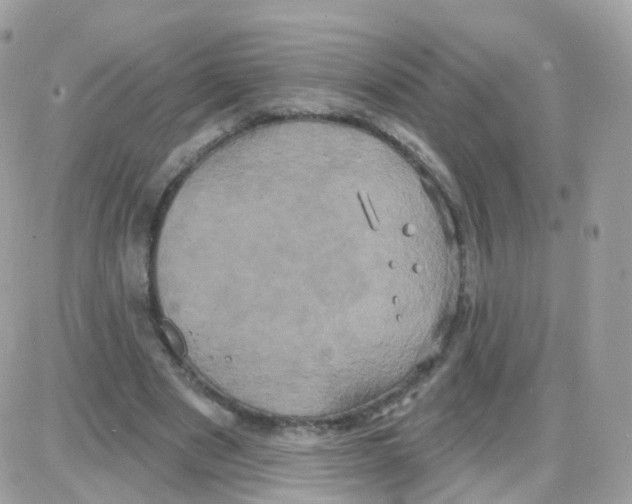 X0000087700489200706011748