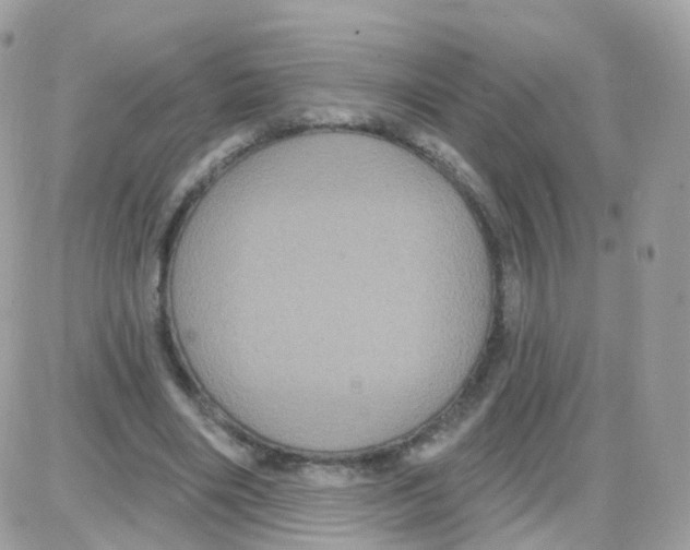 X0000087700490200706011748