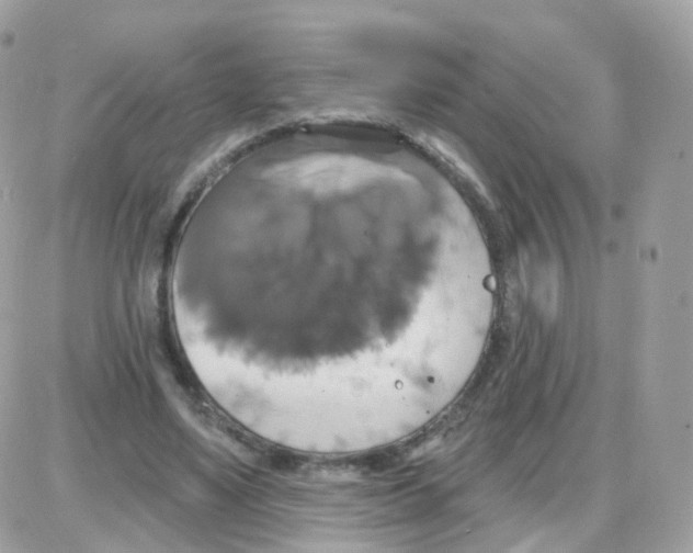 X0000087700491200706011748