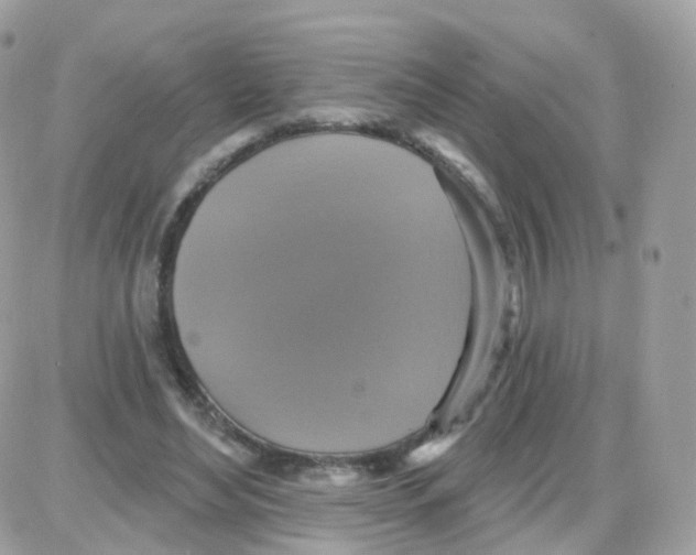 X0000087700492200706011748