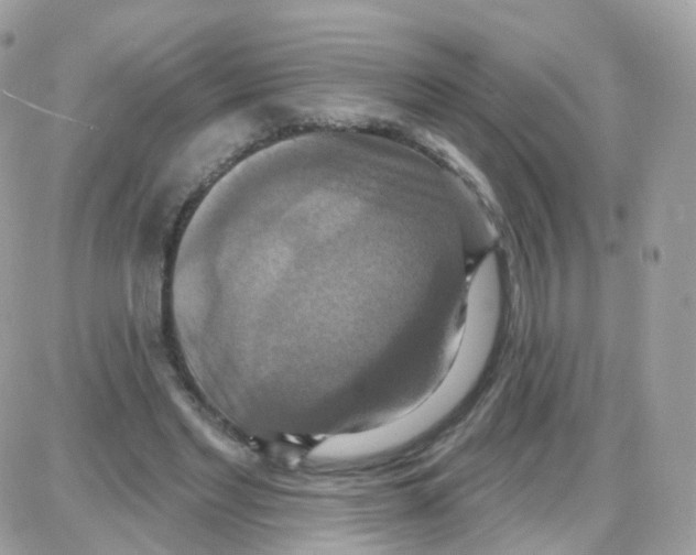 X0000087700493200706011748