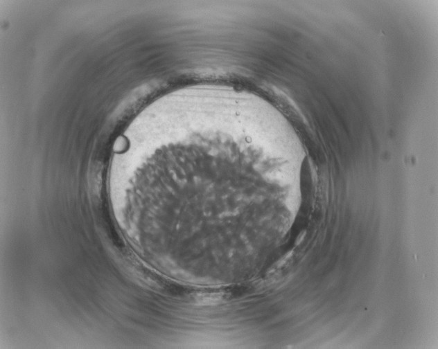 X0000087700495200706011748