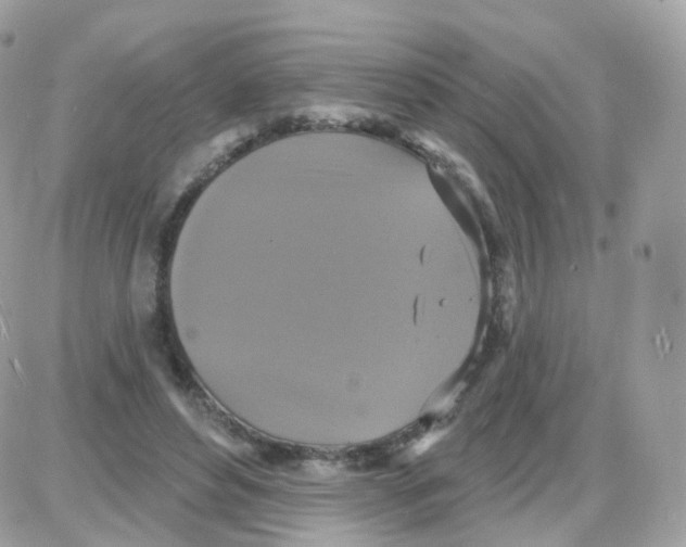 X0000087700496200706011748