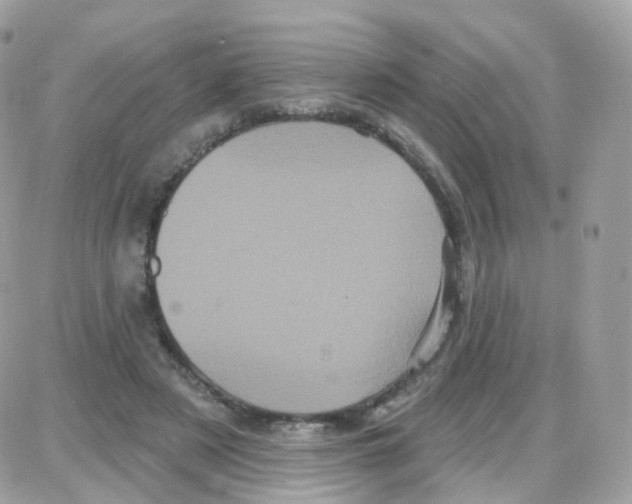 X0000087700497200706011748