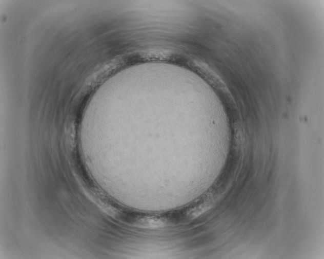 X0000087700498200706011748