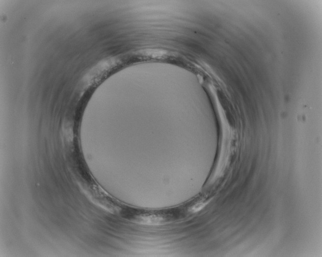 X0000087700500200706011748