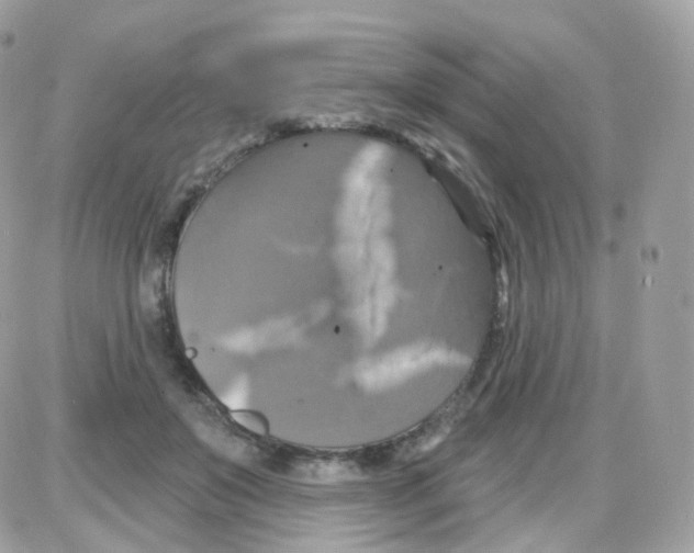 X0000087700503200706011748