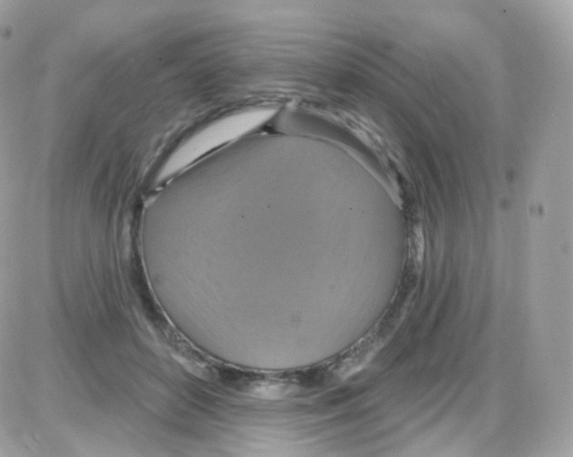 X0000087700504200706011748