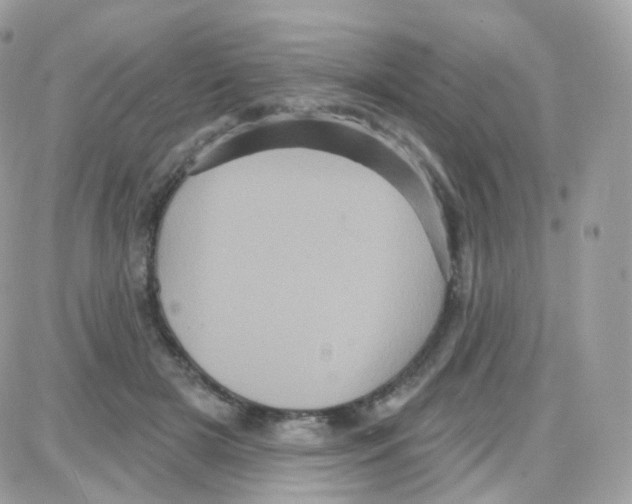 X0000087700505200706011748