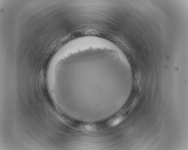 X0000087700506200706011748