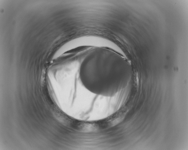 X0000087700507200706011748