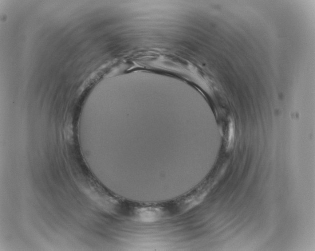 X0000087700508200706011748