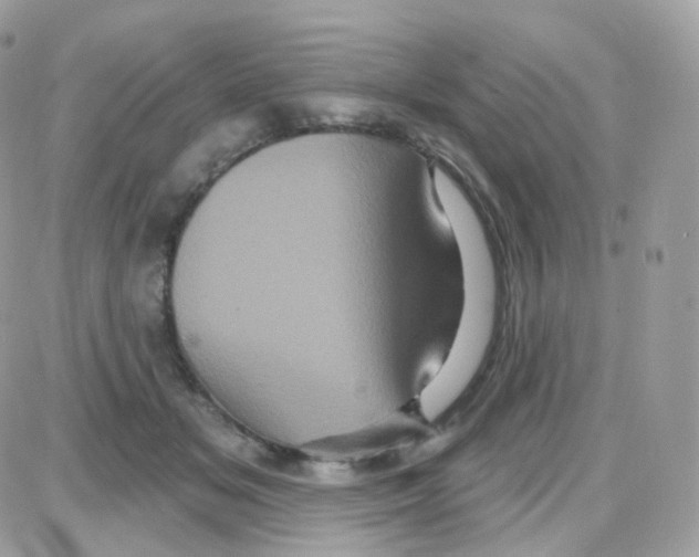 X0000087700509200706011748