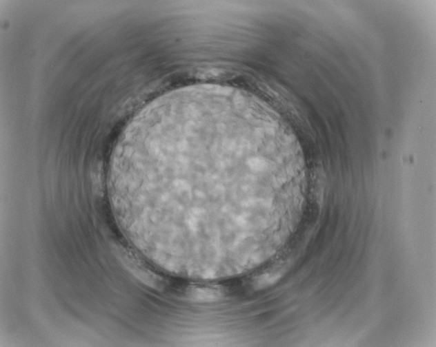 X0000087700510200706011748