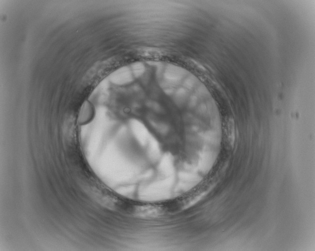 X0000087700511200706011748