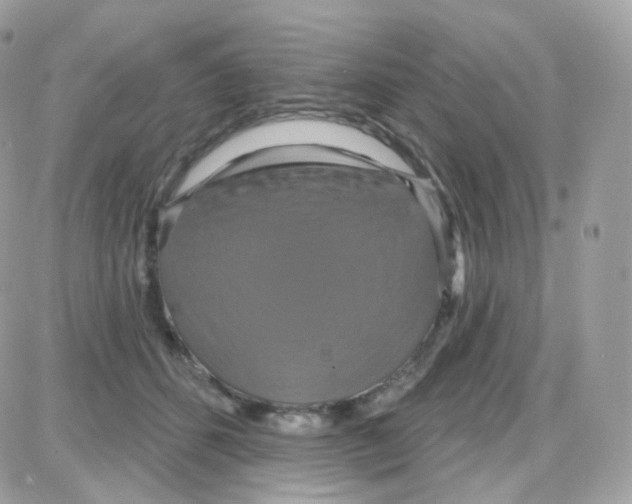 X0000087700512200706011748