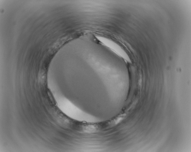 X0000087700513200706011748