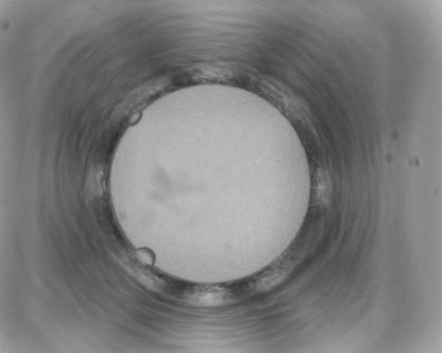 X0000087700514200706011748