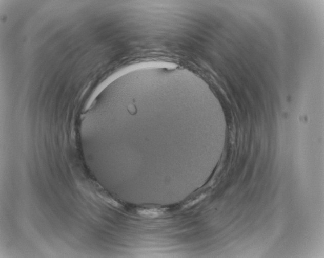 X0000087700516200706011748