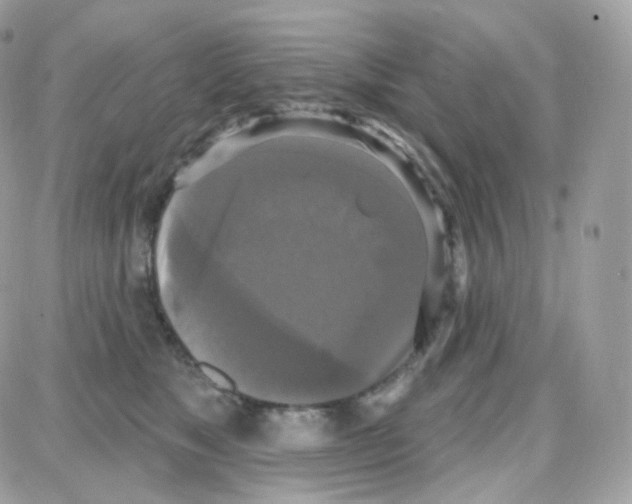 X0000087700517200706011748