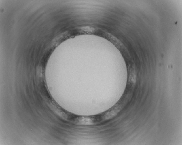 X0000087700518200706011748