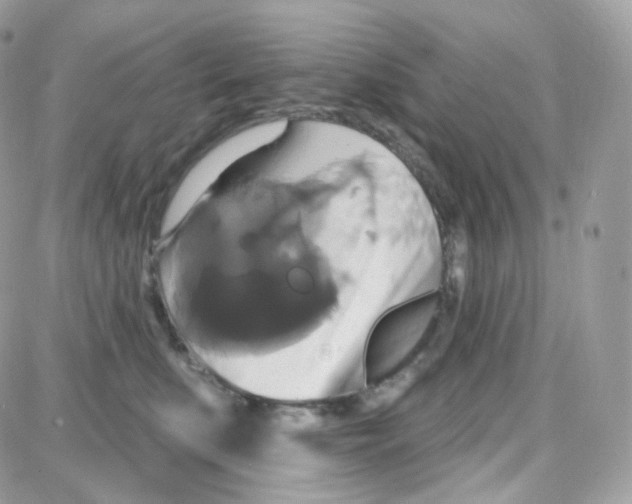 X0000087700519200706011748