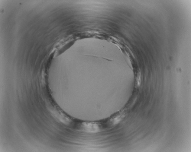 X0000087700520200706011748