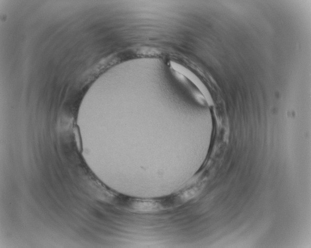 X0000087700521200706011748