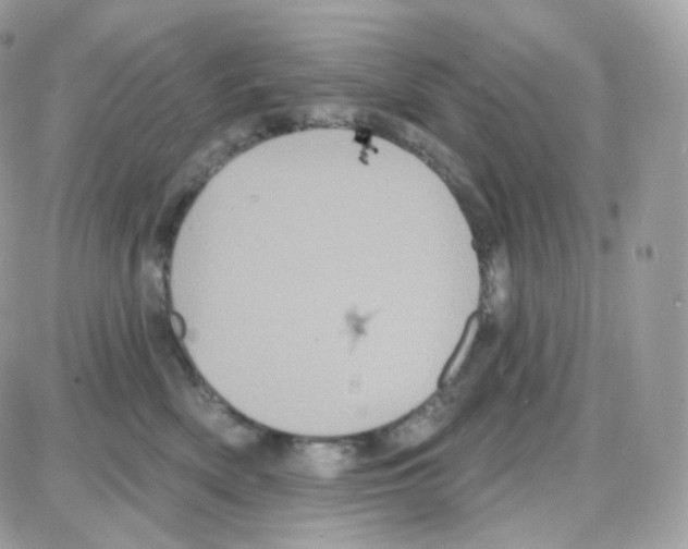 X0000087700522200706011748