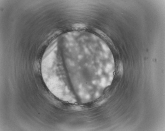 X0000087700523200706011748