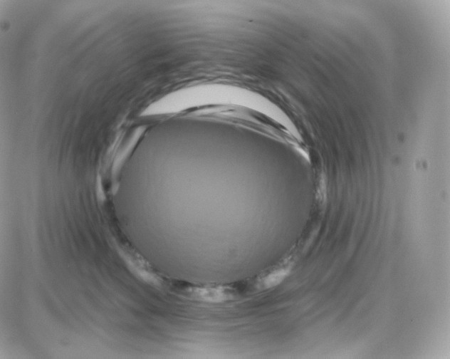 X0000087700524200706011748