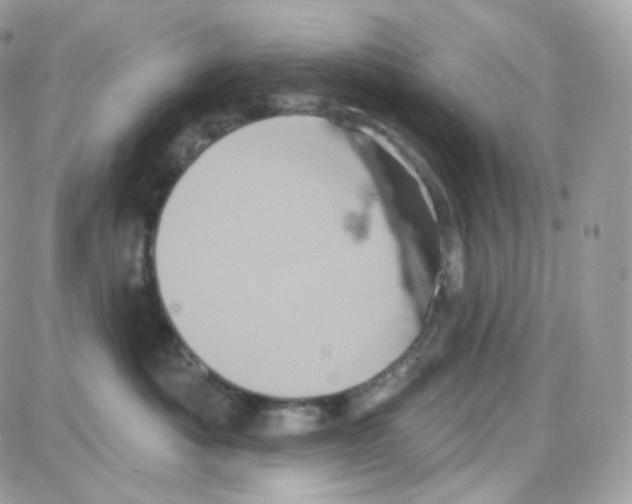 X0000087700525200706011748