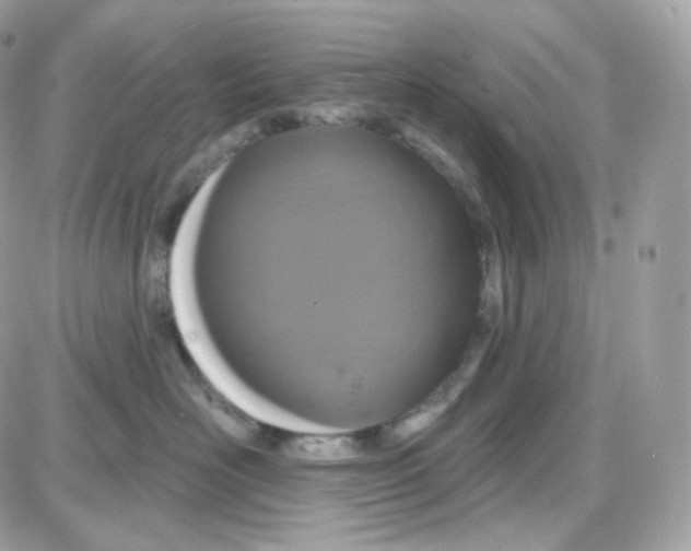 X0000087700526200706011748