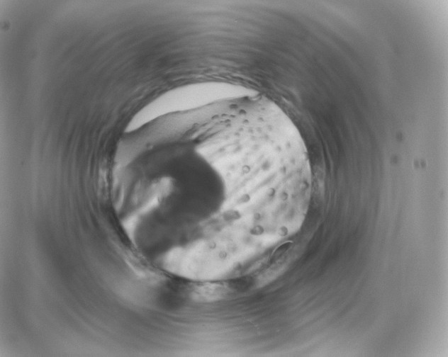 X0000087700527200706011748